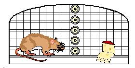 ΰ�¹���(victor1946)�ٷ���վ-Officials Website