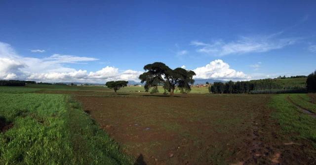 ΰ�¹���(victor1946)�ٷ���վ-Officials Website