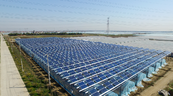 ΰ�¹���(victor1946)�ٷ���վ-Officials Website