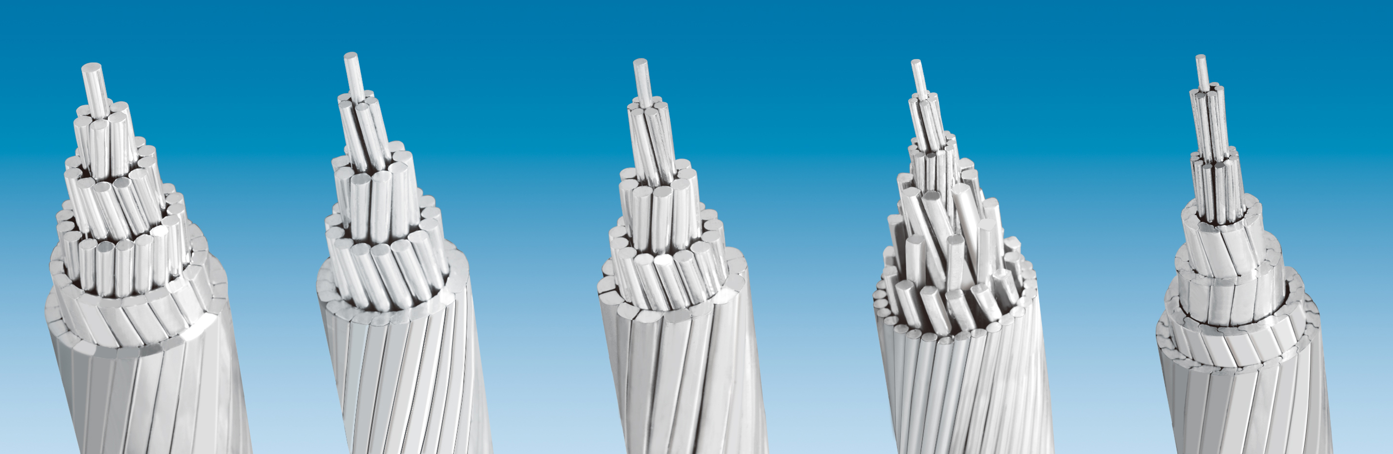 ΰ�¹���(victor1946)�ٷ���վ-Officials Website