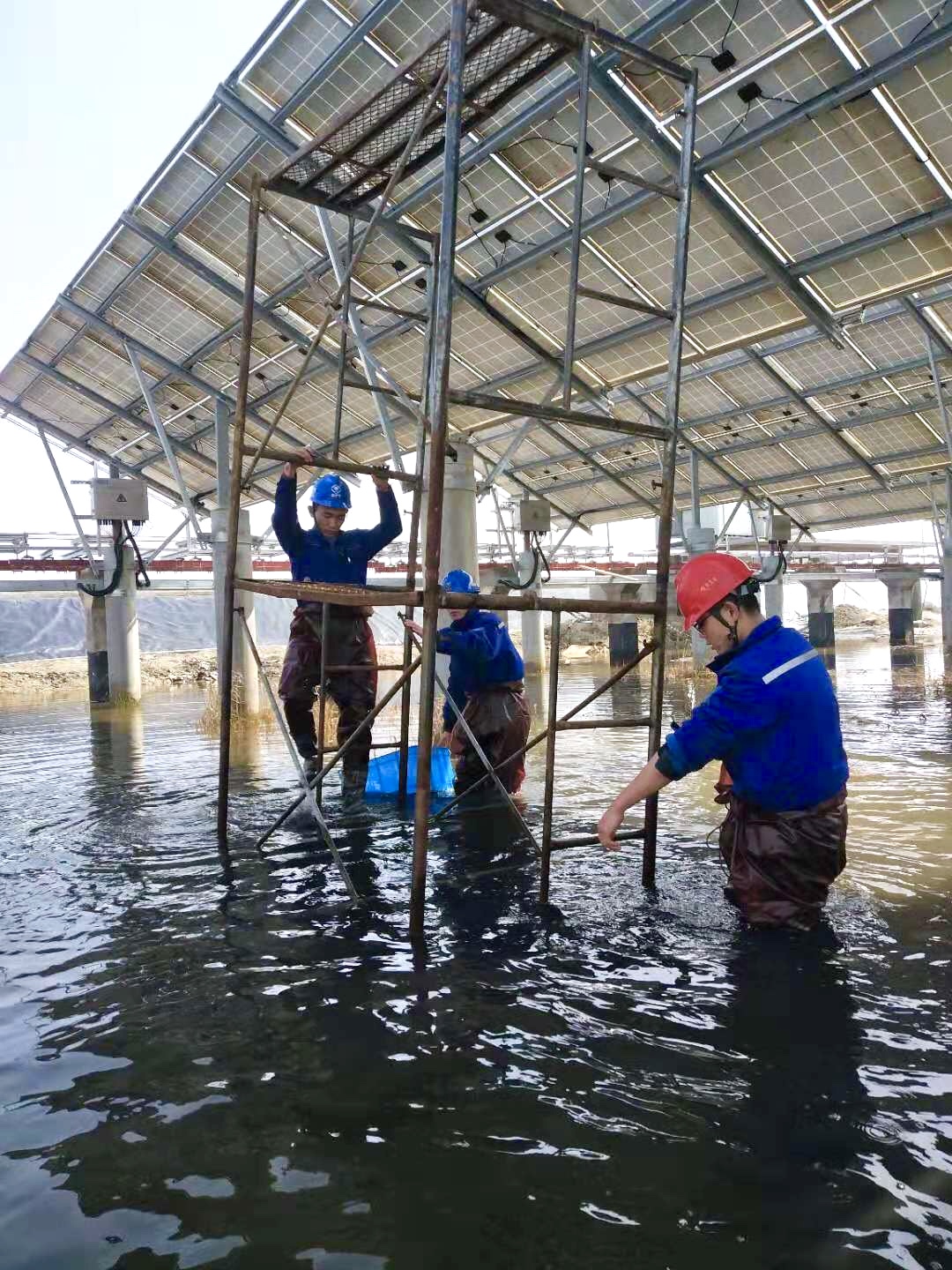 ΰ�¹���(victor1946)�ٷ���վ-Officials Website