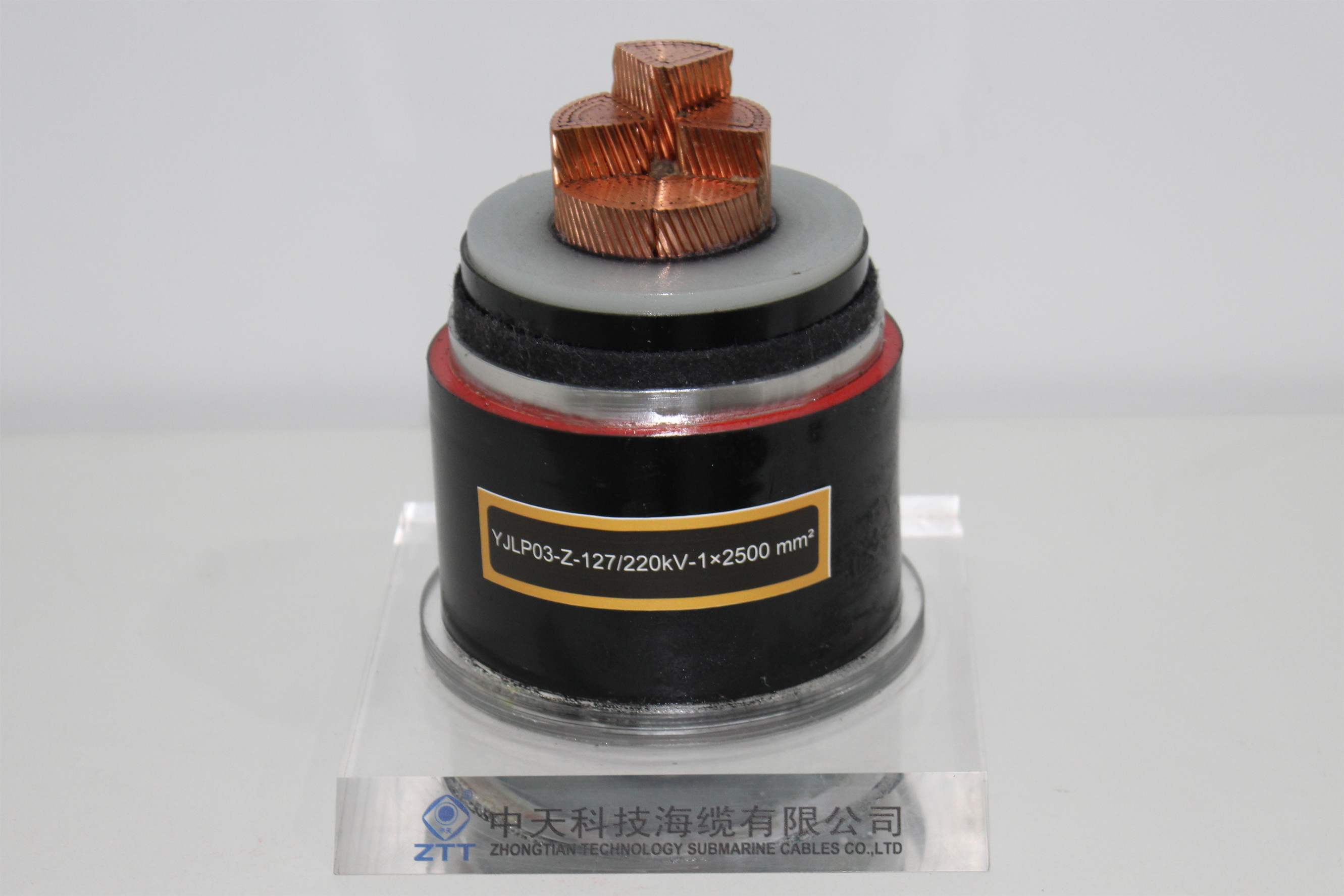 ΰ�¹���(victor1946)�ٷ���վ-Officials Website