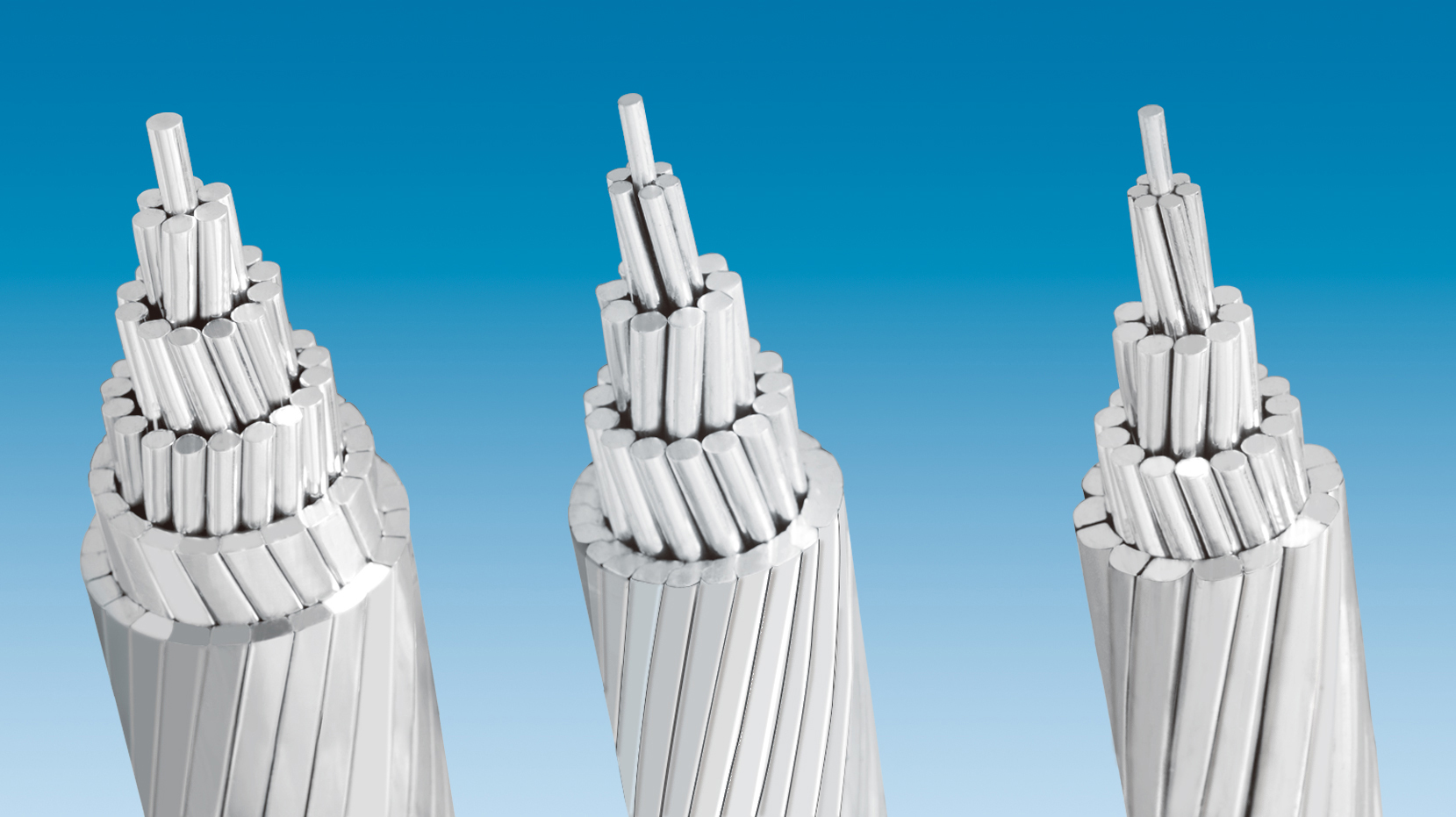 ΰ�¹���(victor1946)�ٷ���վ-Officials Website