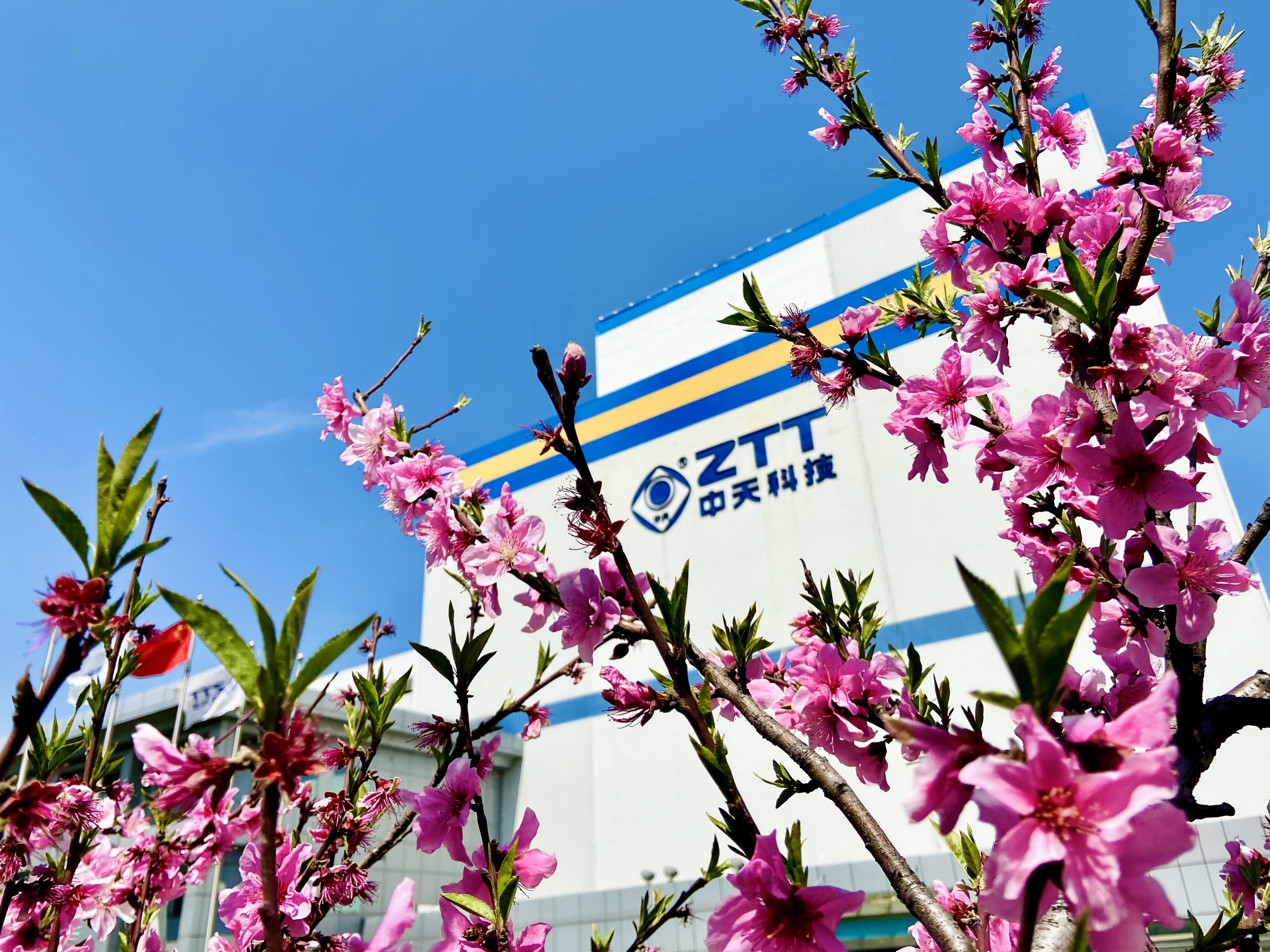 伟德国际(victor1946)官方网站-Officials Website