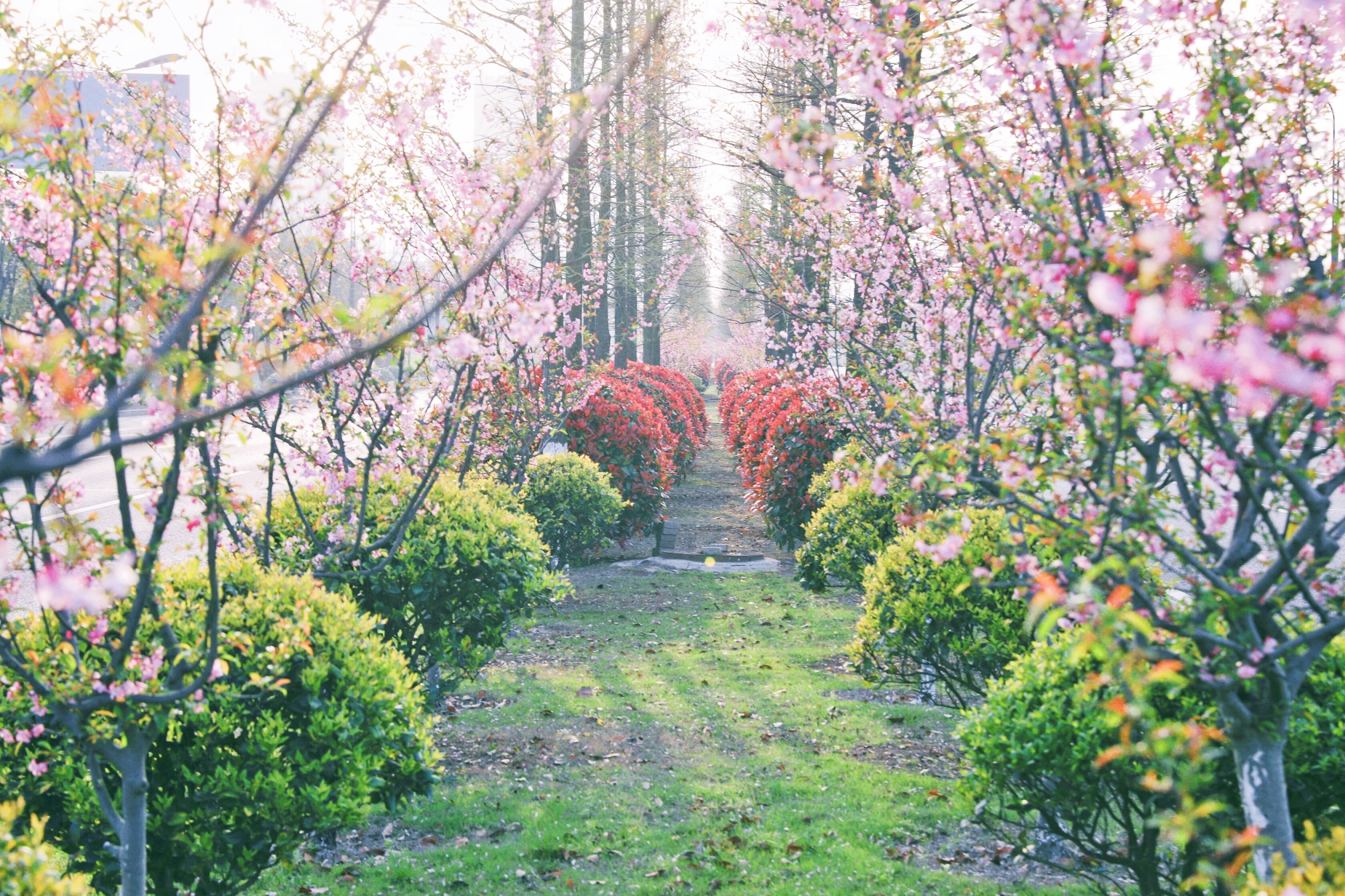 ΰ�¹���(victor1946)�ٷ���վ-Officials Website