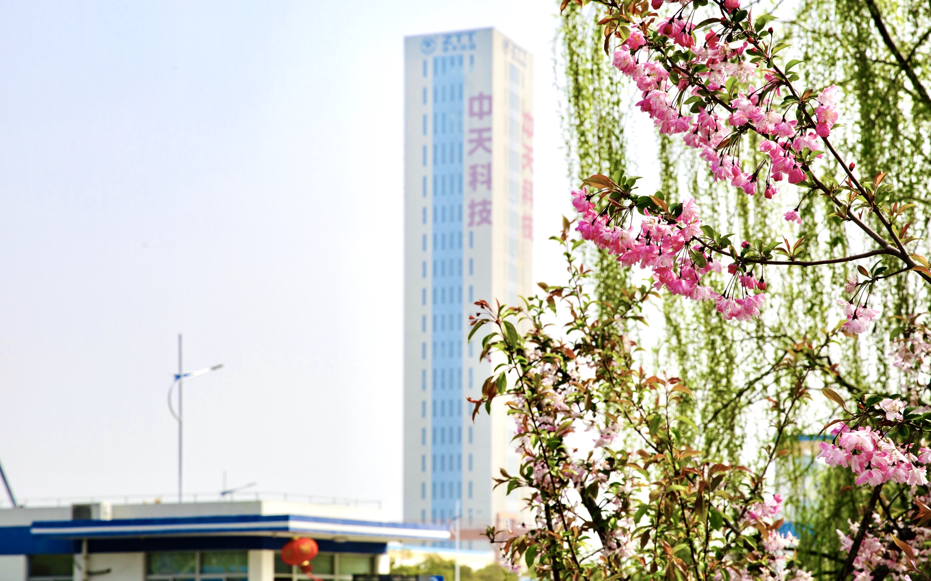 ΰ�¹���(victor1946)�ٷ���վ-Officials Website