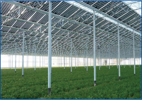 ΰ�¹���(victor1946)�ٷ���վ-Officials Website