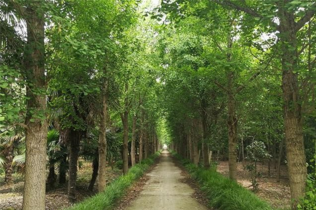 ΰ�¹���(victor1946)�ٷ���վ-Officials Website