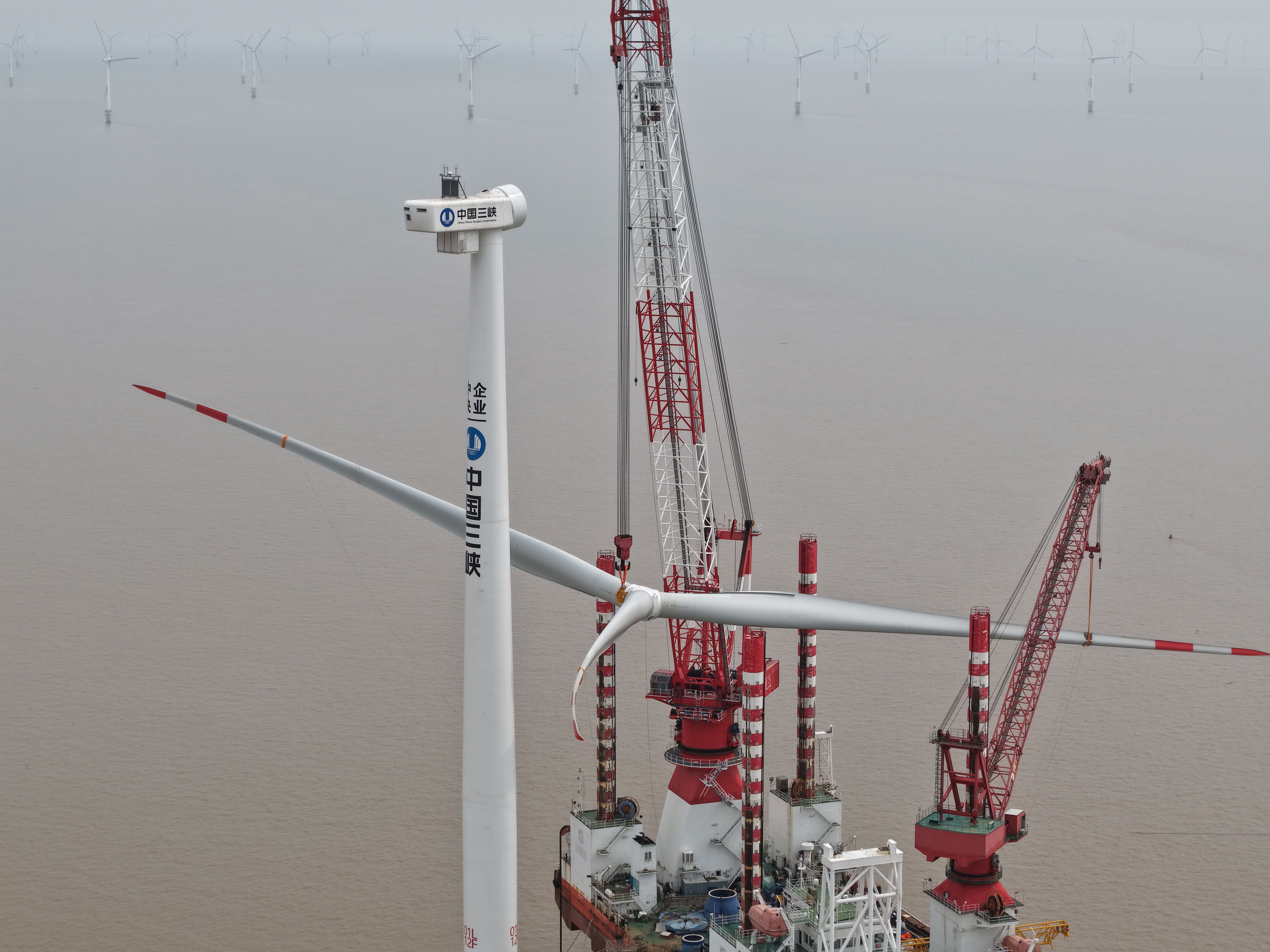 ΰ�¹���(victor1946)�ٷ���վ-Officials Website