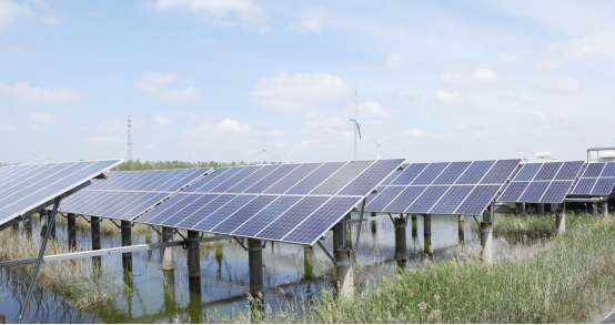 ΰ�¹���(victor1946)�ٷ���վ-Officials Website