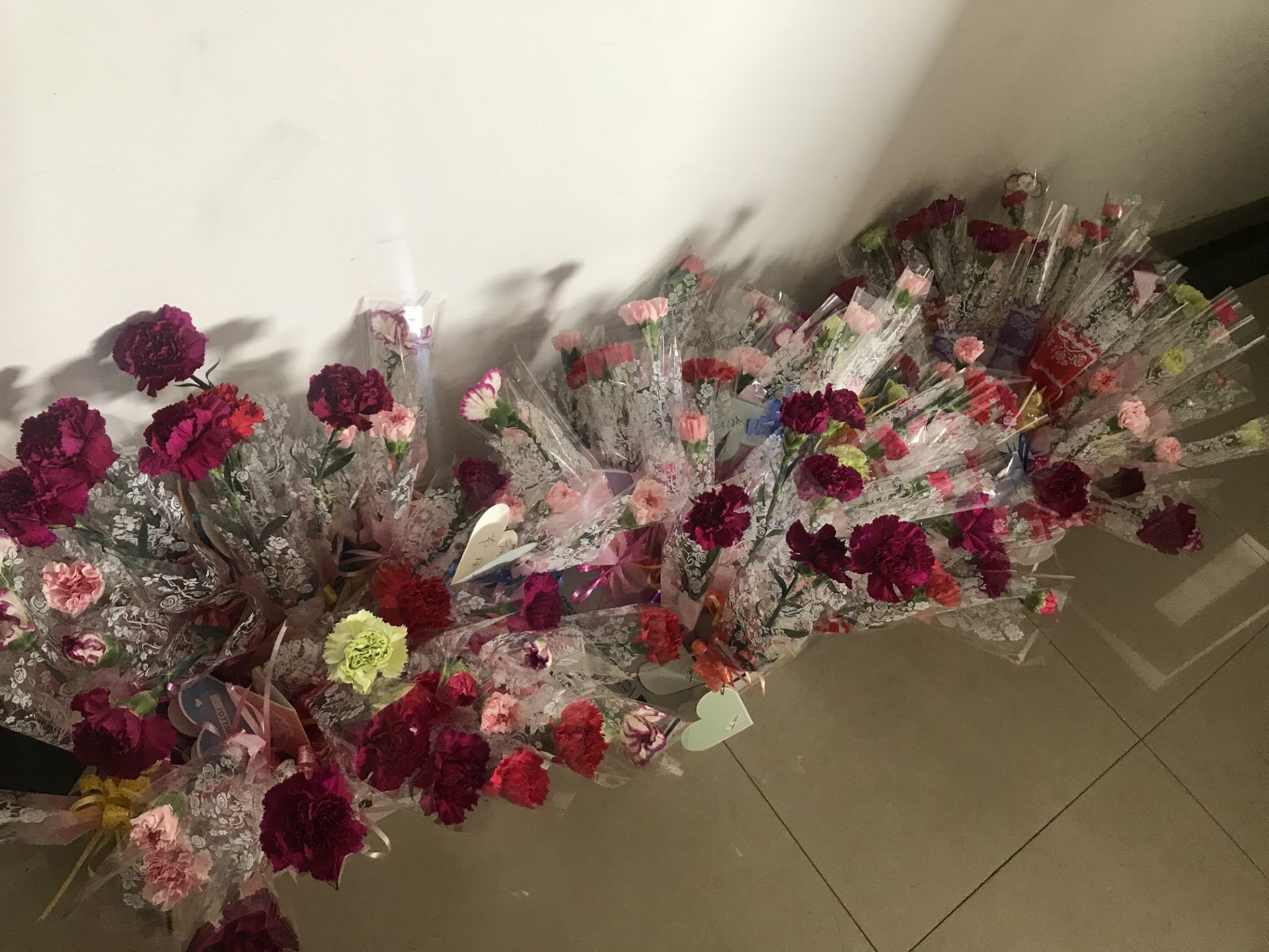 ΰ�¹���(victor1946)�ٷ���վ-Officials Website