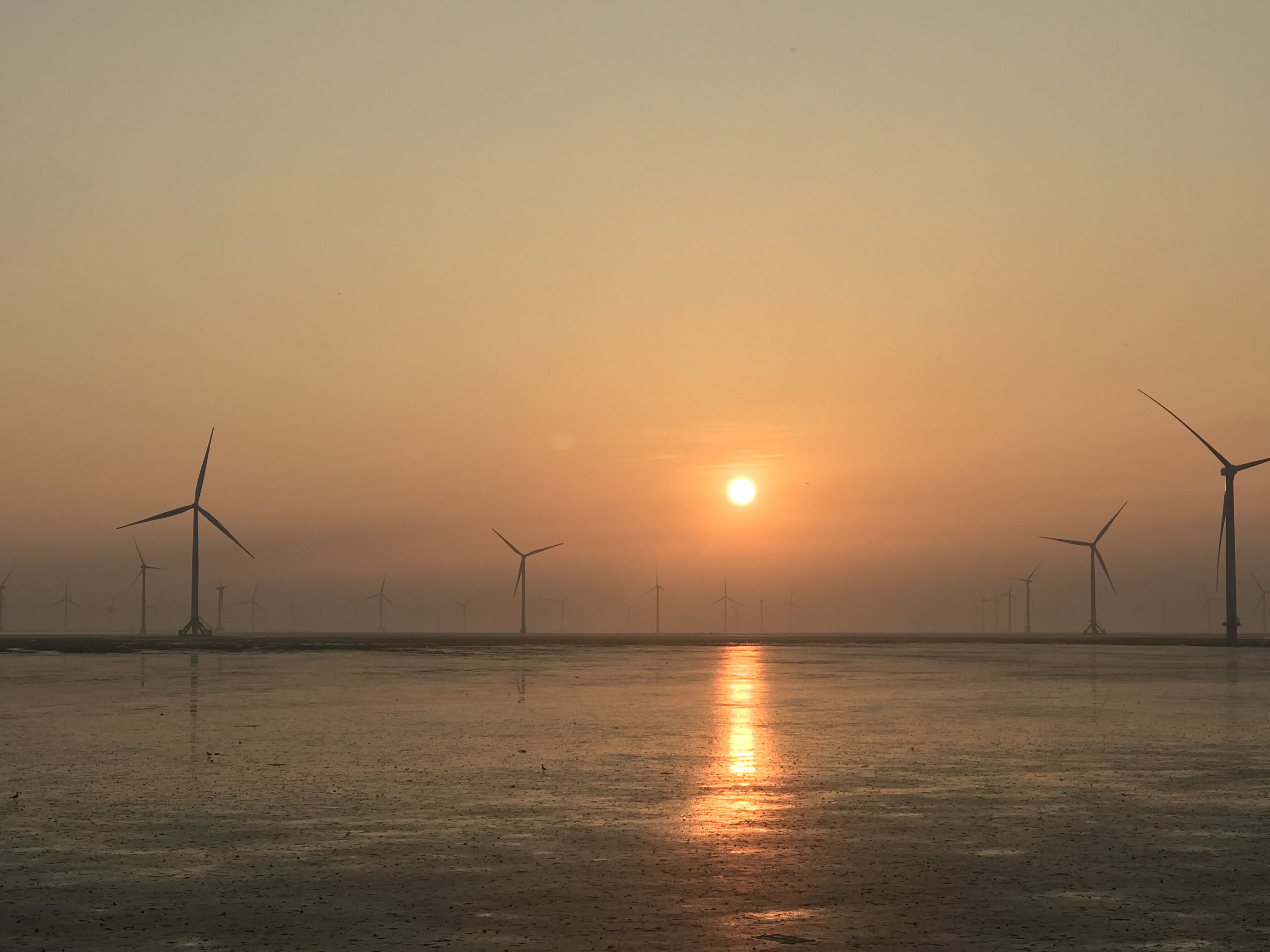 ΰ�¹���(victor1946)�ٷ���վ-Officials Website